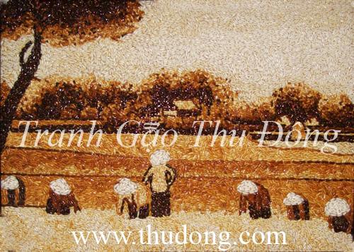 Vietnamese countryside